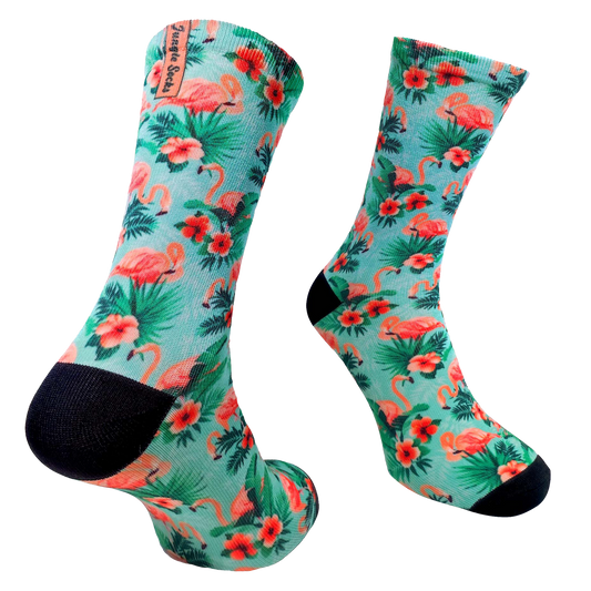 Flamingos